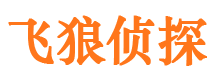 通川市侦探公司